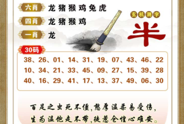 2025090期香港彩九肖30码中特